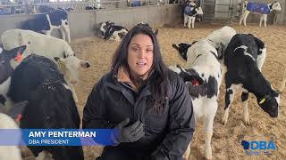 Meet the Dairy Business Association President Amy Penterman [upl. by Faustus]