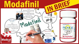 Modafinil  Provigil 100mg  What is Modafinil Used For Dosage Side Effects amp Precautions [upl. by Ashwell]