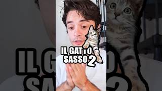 Il gatto sasso 2 🐈 [upl. by Htebazileharas40]