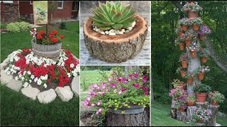 65Unusual tree stumps as planters for your beautiful plants and flowers [upl. by Anivel24]