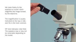 Simple Student Microscope Part 2 [upl. by Saturday]