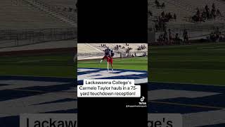 Lackawanna Colleges Carmelo Taylor hauls in a 75yard touchdown reception football world [upl. by Ruyam]