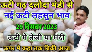 दलौदा मंडी का 29 दिसंबर 2023 का नई ऊटी लहसुन भाव  new ooty garlic rate today dalodanai lahsun bhav [upl. by Romo]