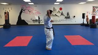 Wado Ryu Pinan Godan Kazoku Karate Dojo [upl. by Hurleigh]