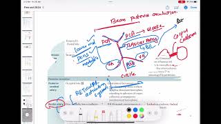 Basilar artery strokes neurology 75  First Aid USMLE Step 1 in UrduHindi [upl. by Ardisj878]