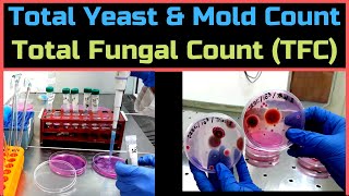 Total Yeast amp Mold Count Total Fungal CountA Complete Procedure BAM Ch18 [upl. by Ecylahs136]