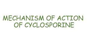 Cyclosporine mechanism of action [upl. by Mast]