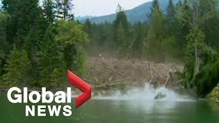 EPIC mudslide caught on camera Raw Video [upl. by Vitale]