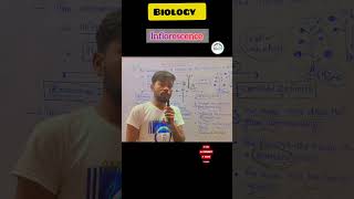 Inflorescence 🍀 Morphology of the flowering plants neet biology science motivation jac [upl. by Nnhoj574]