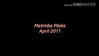 MATIMBA MALES MANYELETI 2011 [upl. by Collie]