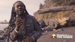 Zebulon Fyah  Meditação Official Video 2019 [upl. by Dari592]