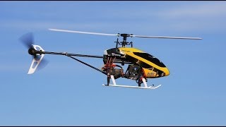 Blade 200 SR X RC Helicopter Review and Action Video [upl. by Kerad]