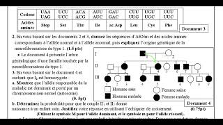 correction examen national 2018 svt normal  hérédité Humaine [upl. by Beattie]