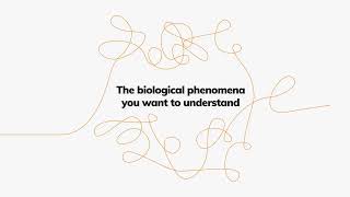 What is FIDA  Flow Induced Dispersion Analysis  insolution technology for protein interactions [upl. by Alex]