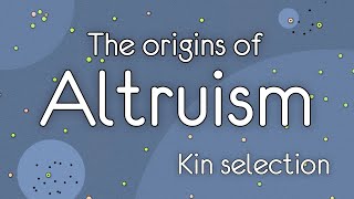 The Origins of Altruism Kin selection [upl. by Bathelda]