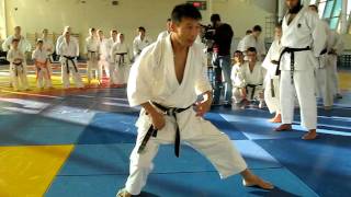 Mikio Yahara sensei Kata [upl. by Hilario]