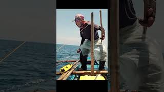 Traditional Handline Skipjack Tuna Fishing  Please Visit my Channel for More Videos [upl. by Acisseg]