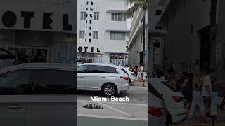 Miami Beach Stany Zjednoczone plaże auta wszyscy [upl. by Michiko]