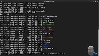 Mounting Elastic File SystemEFSNFS to an EC2 Instance AWS Beware of Security Groups blocking [upl. by Nylirret]