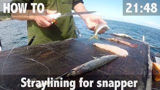 How To Straylining for Snapper amp 30lb Catch [upl. by Okoyik]