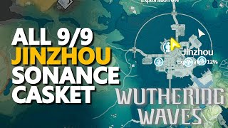 All Jinzhou Sonance Casket Wuthering Waves [upl. by Pierpont982]