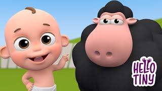 Baa Baa Black Sheep  Nursery Rhymes amp Kids Songs [upl. by Riay]