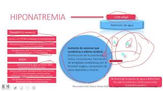 Equilibrio ÁcidoBase Nefrología Repaso rápido [upl. by Arde]