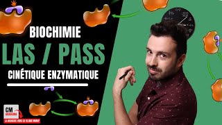 ENZYMOLOGIE  🧬Cinétique enzymatique ce quil faut maîtriser [upl. by Douglas]