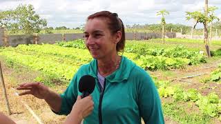 Agricultora de Arapiraca garante renda familiar produzindo hortaliças [upl. by Einwahs]