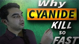 Why CYANIDE kill So Fast [upl. by Adiam403]