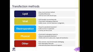 Transfection Techniques Explained [upl. by Yajet]