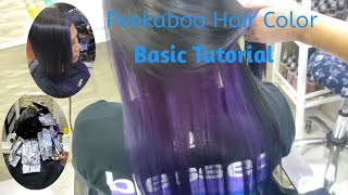 Peekaboo Hair Color Basic Tutorial [upl. by Ameg]