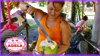 ☘️ Comprando agua de coco [upl. by Hewart]