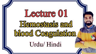 Hemostasis Blood Clotting  Coagulation of blood in Urdu Hindi [upl. by Marlene]