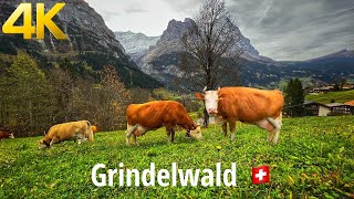 Grindelwald Switzerland Walking Tour 4K 60fps  Heavenly beautiful Swiss village [upl. by Allesig650]