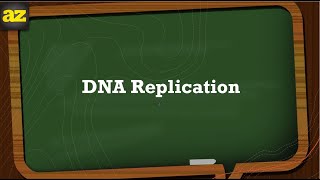 Understanding DNA Replication شرح بالعربي [upl. by Acila173]