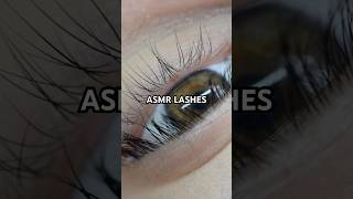 Lash with me asmr contentcreator lashista parati lashextensions lashes [upl. by Afaw980]