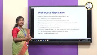 DNA Replication in Prokaryotes vs Eukaryotes  Ms Jesia Persis Preethi N [upl. by Sremmus608]