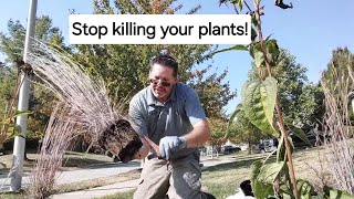 Stop Killing your plants Do this instead [upl. by Novrej]