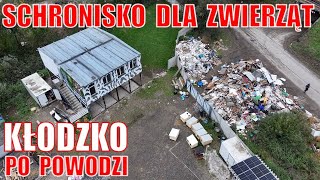 Schronisko dla zwierząt w Kłodzku po powodzi [upl. by Noiroc]