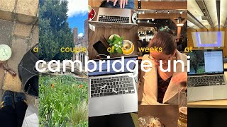 CAMBRIDGE UNI VLOG  studying before exam term [upl. by Duarte]