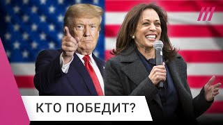 Выборы в США Трамп vs Харрис За кого проголосуют американцы [upl. by Enelia]