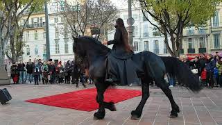 Spectacle de chevaux [upl. by Dana]