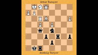 Yusupov vs Karpov  Candidates Match 1989 chess [upl. by Trilly]