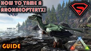 ARK HOW TO TAME A ARCHAEOPTERYX 2020  EVERYTHING YOU NED TO KNOW ABOUT TAMING A ARCHAEOPTERYX [upl. by Haisoj]