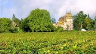 La Viticulture en France  French Wine and Provincial Life [upl. by Areehs]