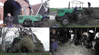 Feeding cattle by farmer Gerrit [upl. by Diandra158]