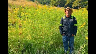 Untermyer Gardens Conservancy Meadow Making With Timothy Tilghman [upl. by Gnek]