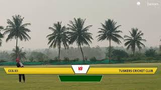 Live Cricket Match  CCG XII vs Tuskers Cricket Club  31Oct24 0757 AM 20 overs  CCG presents [upl. by Neeluqcaj]