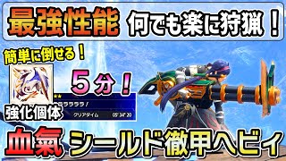 【最終アプデで超強化！】強化個体 原初メルゼナも簡単に５分で倒せる！ 血氣覚醒 シールド徹甲ヘビィ最強装備紹介！マカ錬成、傀異錬成の素材集め、周回にも大活躍！ MHRSB  サンブレイク [upl. by Ttik]